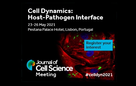 Co_Biologists's tweet photo. The @J_Cell_Sci Meeting on Cell Dynamics: Host-Pathogen Interface, organised by Michaela Gack, @maxgabgut, Dominique Soldati-Favre and @DrMichaelWay, has been rescheduled to 2021. Register your interest at https://t.co/q5knAsUz62 #celldyn2021 #celldyn2020 https://t.co/7cQVrZgN2B