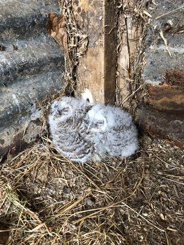 Devon Wildlife Trust tweet media