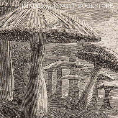 画像素材 天牛書店イメージズ ジュール ヴェルヌ 地底旅行 の挿絵 T Co Zc6prsuako Sf小説の祖とも呼ばれる19世紀末フランスの作家ジュール ヴェルヌ 18 1905 の冒険小説 地底旅行 地球の中心への旅 より 鉱物学者リーデンブロック 画像素材 天牛書店イメージズ ジュール ヴェルヌ 地底旅行 の挿絵 T Co Zc6prsuako Sf小説の祖とも呼ばれる19世紀末フランスの作家ジュール ヴェルヌ 18 1905 の冒険小説 地底旅行 地球の中心への旅 より 鉱物学者リーデンブロック