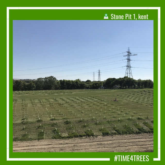 Time4Trees_'s tweet photo. OUR TREE PLANTING 🌳
Give back more to the planet than you take. With Time4Trees you’ll be funding the highest standard of climate project to accelerate our local & global transition to a sustainable future. 🌳
#time4trees
#planting4thefuture https://t.co/6xpoVSfDN7