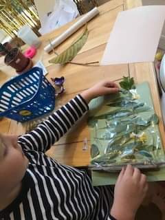 e17toylibrary's tweet photo. When you are out, why not collect leaves, grasses, petals and sticks to make a picture. Use sticky film and paper as a backing or glue/sticky tape on paper. Show us your creations! 🌿🍃🌹#ToyLibraryAtHome #26Activities #OutdoorLearning #Craft #NatureExplorers #Health #Wellbeing https://t.co/q49wsOaIFv