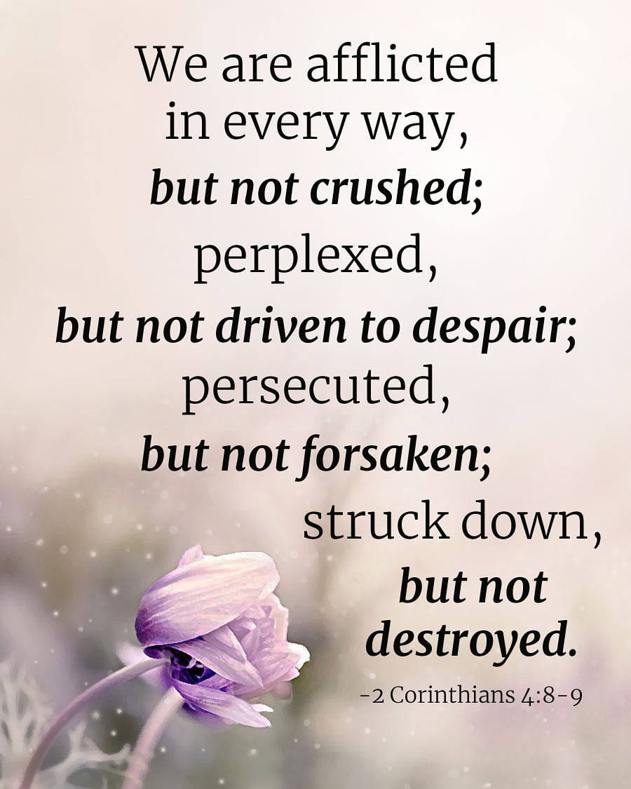 LockZion's tweet image. 