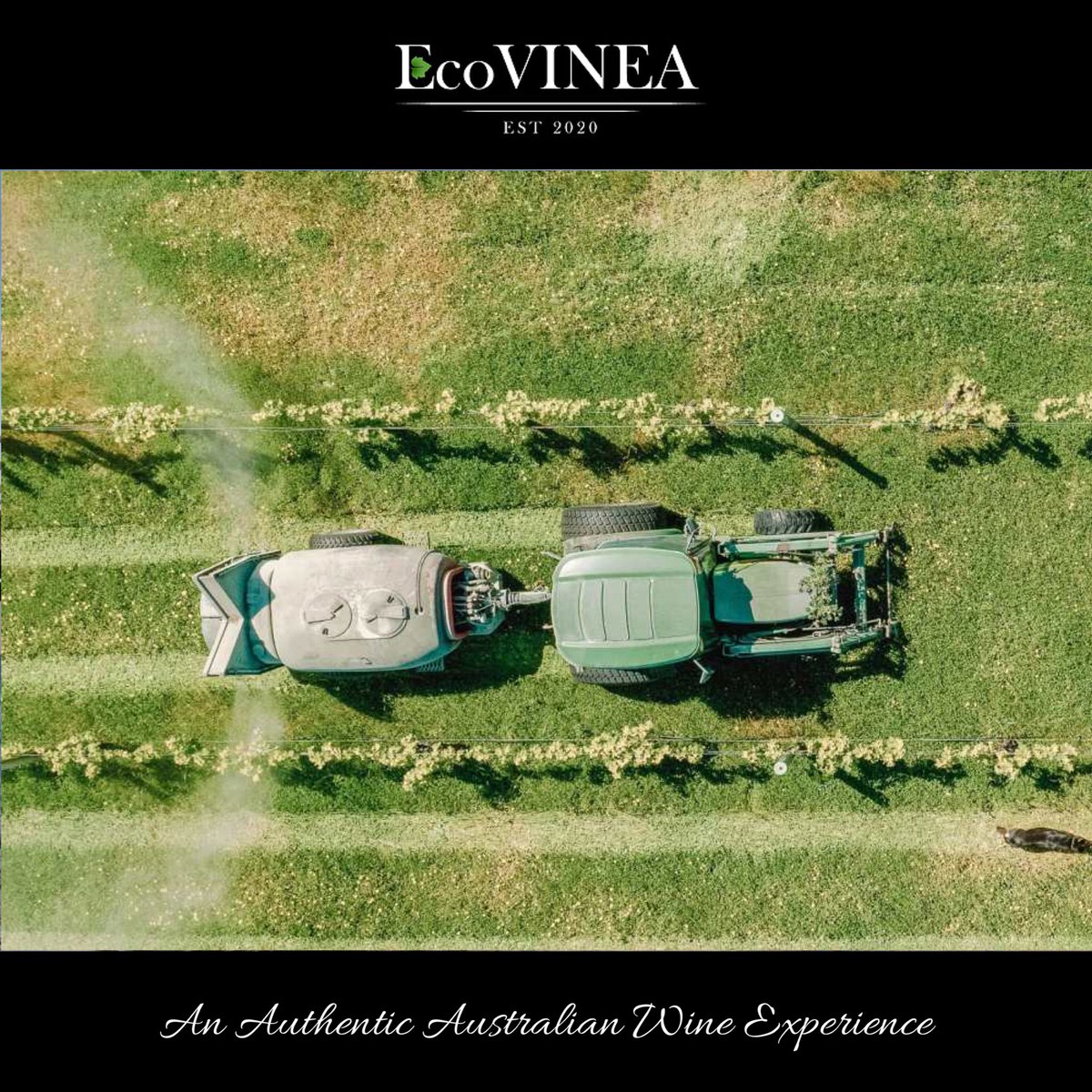“The region of Margaret River is located three hours south of Perth and home to over 120 wine producers.” EcoVinea delivers small-batch, exclusive Australian wines to your door!

#ecovinea #wineaustralia #australia #westernaustralia #wa