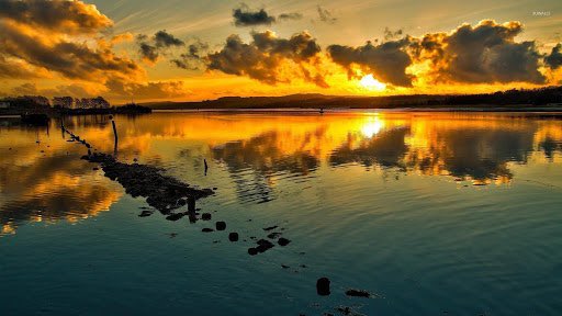 MESHARI 505👑✨ tweet media