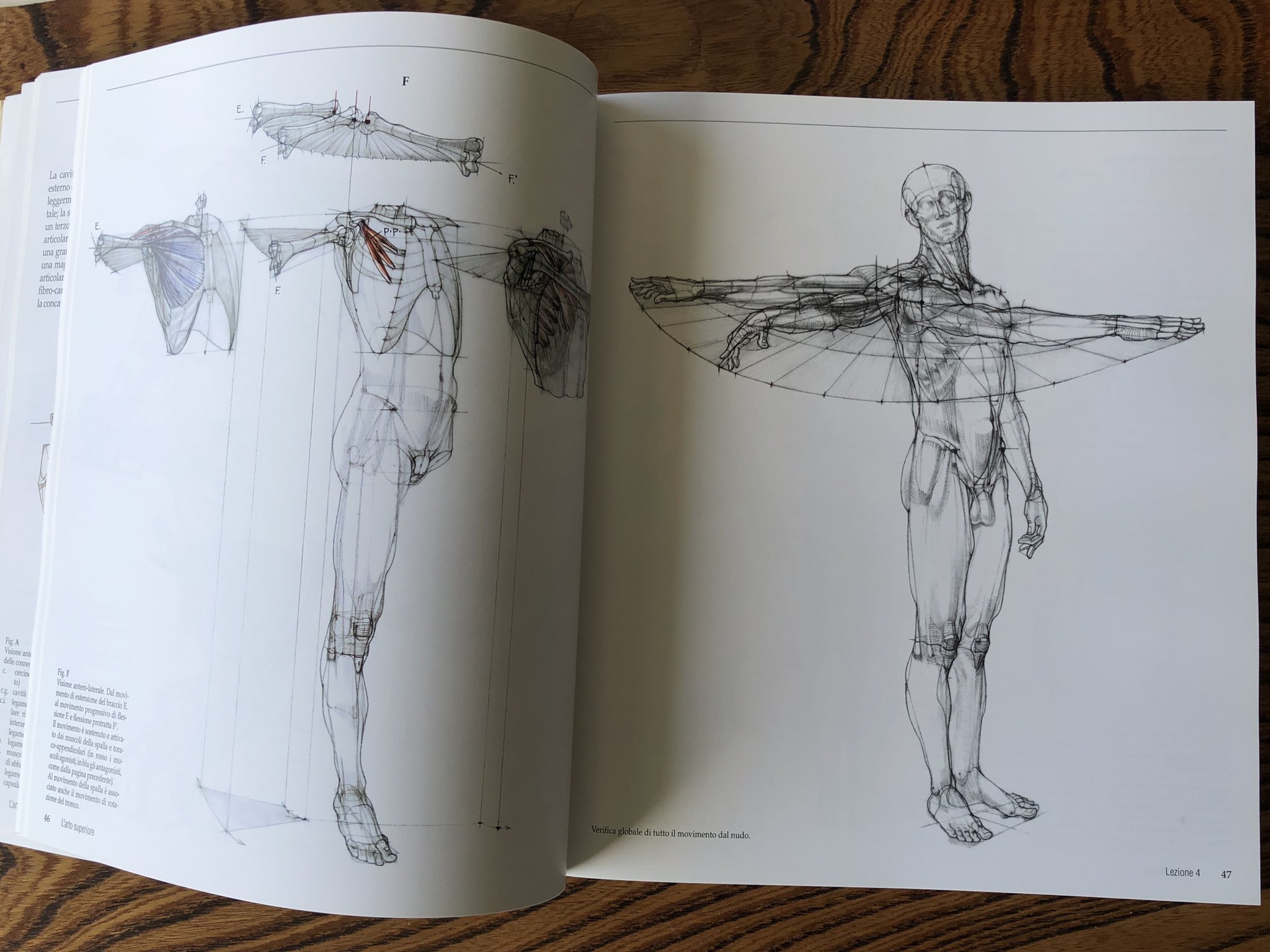 ゴットフリード・バメスの美術解剖学 コンプリート・ガイド