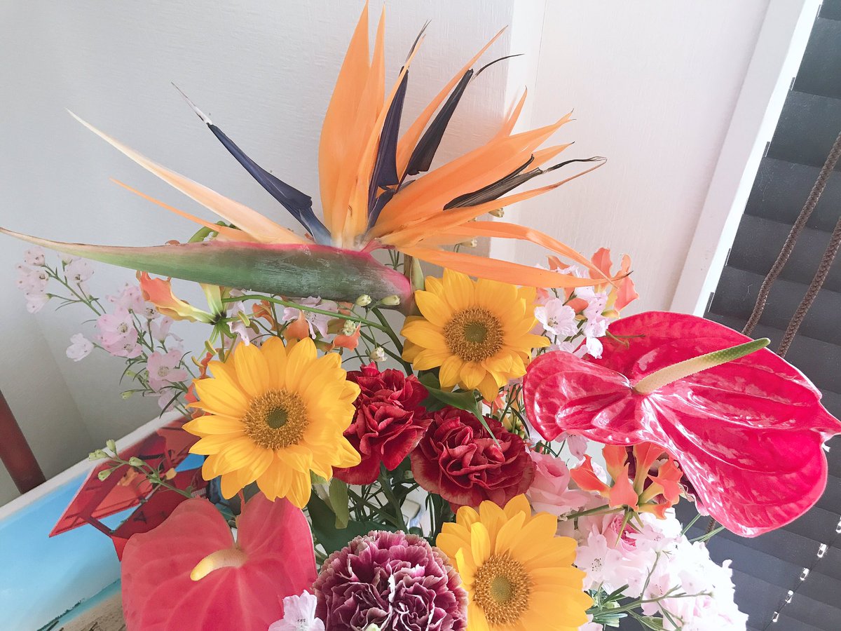 AyanoFortune's tweet photo. おはよ！

10年の営業生活で気付いた事

「僕絶対やりませんからね」
と言った人ほど契約してくれ

断りもせず私の話を黙って聞いてくれた人ほど契約してくれなかった。

つまりは【断られてからが勝負】なのだ。

断りもしない人は私に対して真剣じゃない証拠。

断る人は真剣だから断る。 https://t.co/7qIMkqk0mo