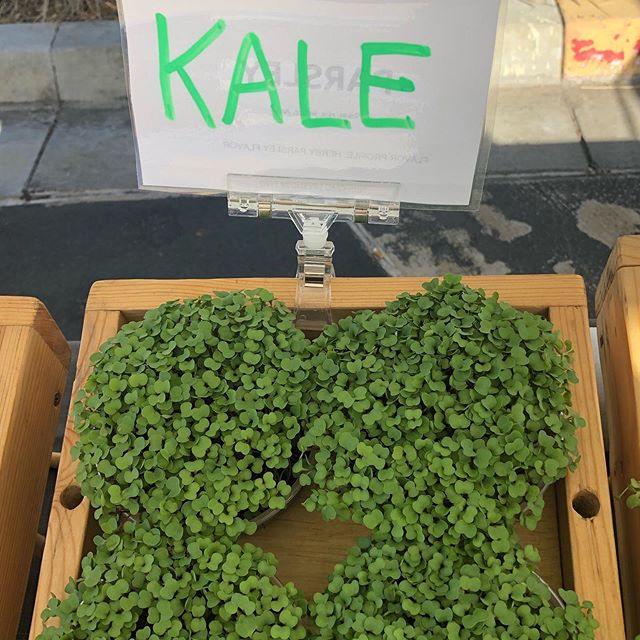 Quantum Microgreens tweet media