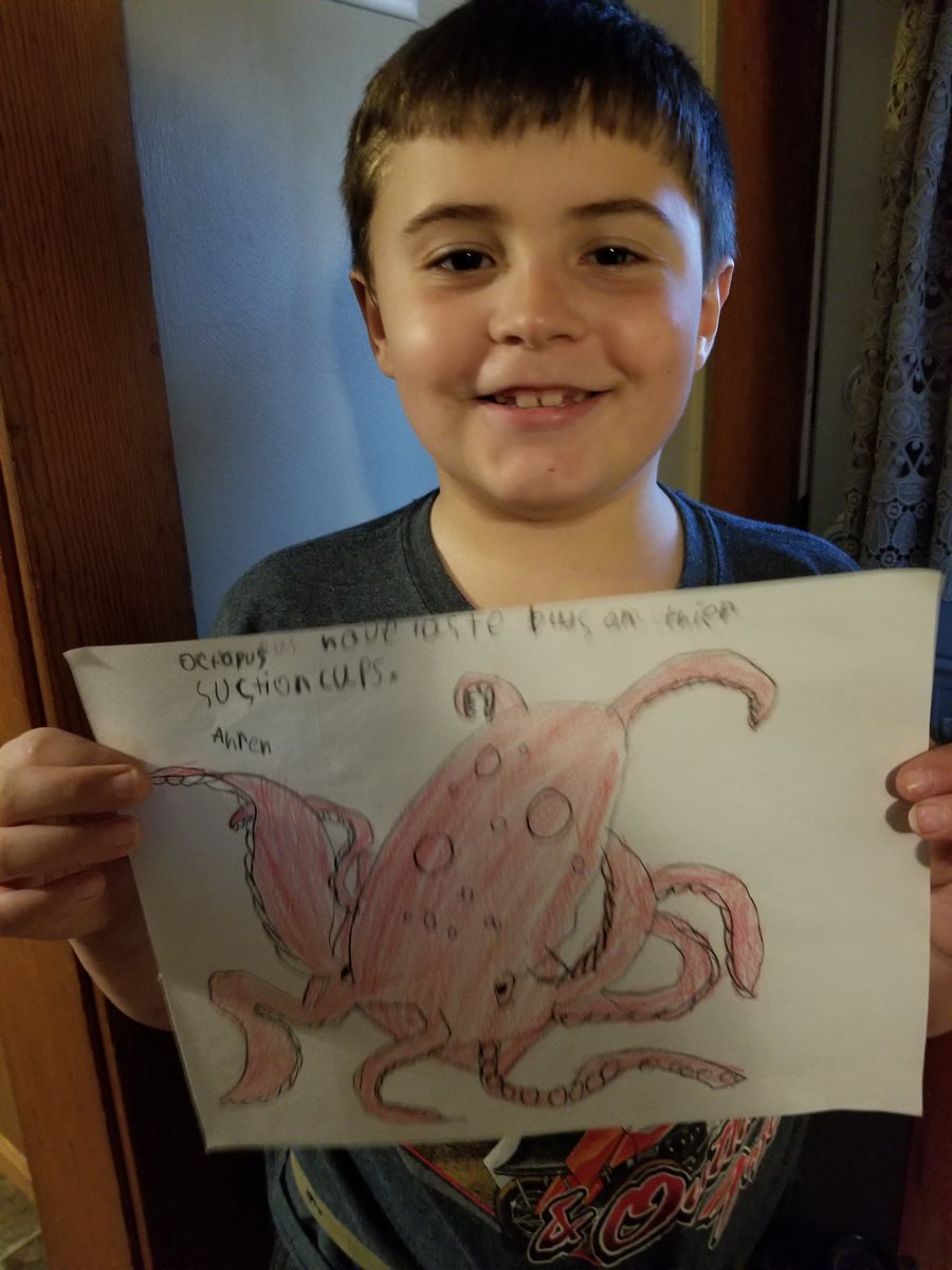 BSES_Eagles's tweet photo. Today, the Ingram boys took a virtual trip to the Aquarium! #BSESVirtualShare #BSESSoar Into Summer! https://t.co/eQ2jMn85NI
