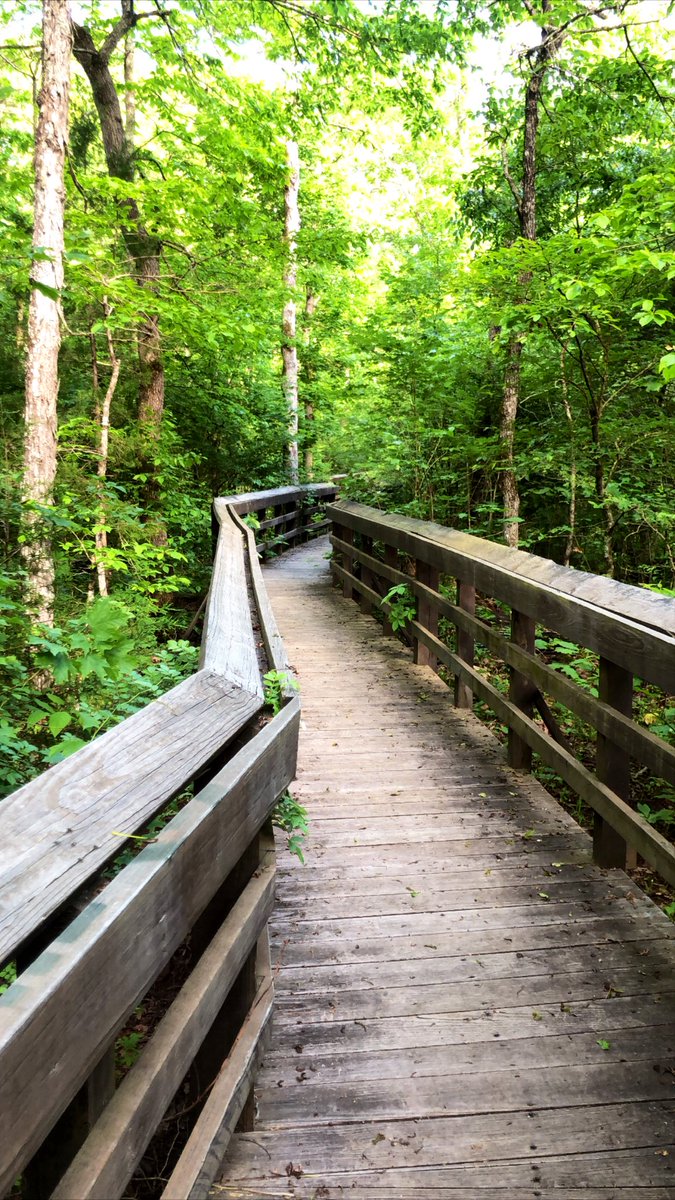 MorganJ_HE's tweet photo. I took a much needed long weekend to unplug &amp; explore some new places. This was exactly what I needed—both physically &amp; mentally, after these last few months. If you haven’t already, take some time to enjoy the weather &amp; breathe in some fresh air! #MentalHealthAwarenessMonth https://t.co/tvz9MemWXZ