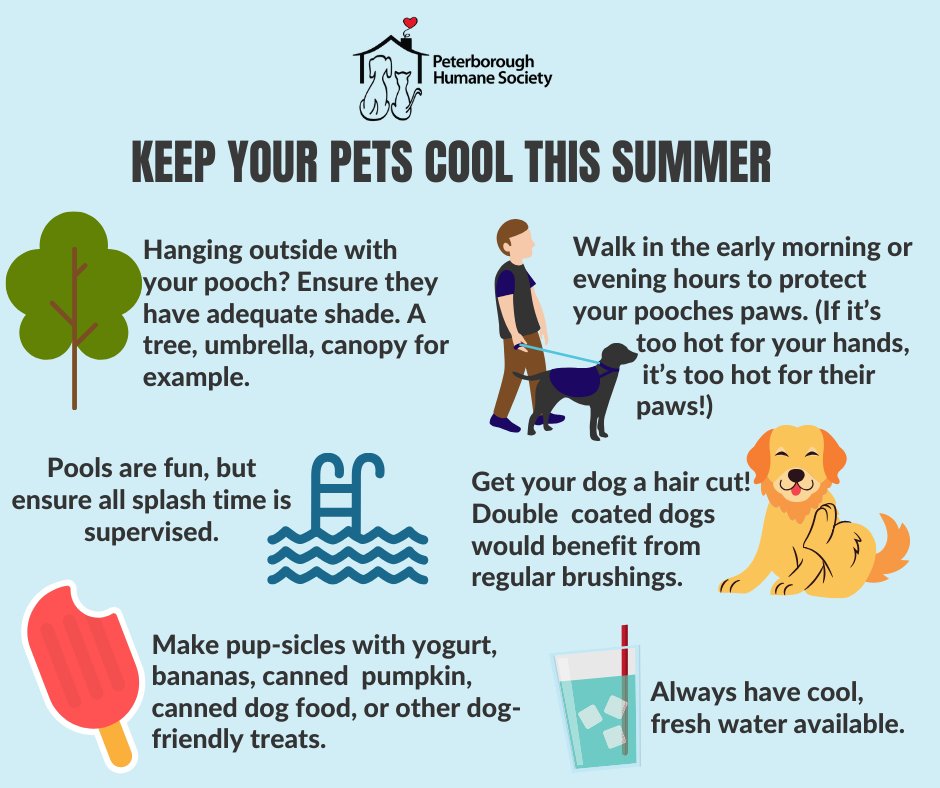 HSpeterborough's tweet photo. It's really hot out there today and tomorrow is set to be a scorcher again ☀️ Here are some fun ways to keep your pets cool on hot days! #hotpets #keepcool #summervibes https://t.co/cPN1S9oUy9