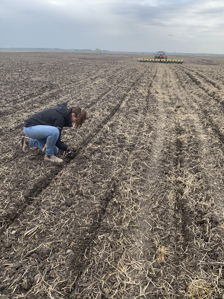 alana_serhan's tweet photo. Thanks to @KatharynHouston another successful @PRIDESEEDS corn plot went in this morning! Cant wait to see this Conventional #chowchow up and out of the ground #newlinkedinpic4kath #checkyourdepth https://t.co/TmLCvYXTVs