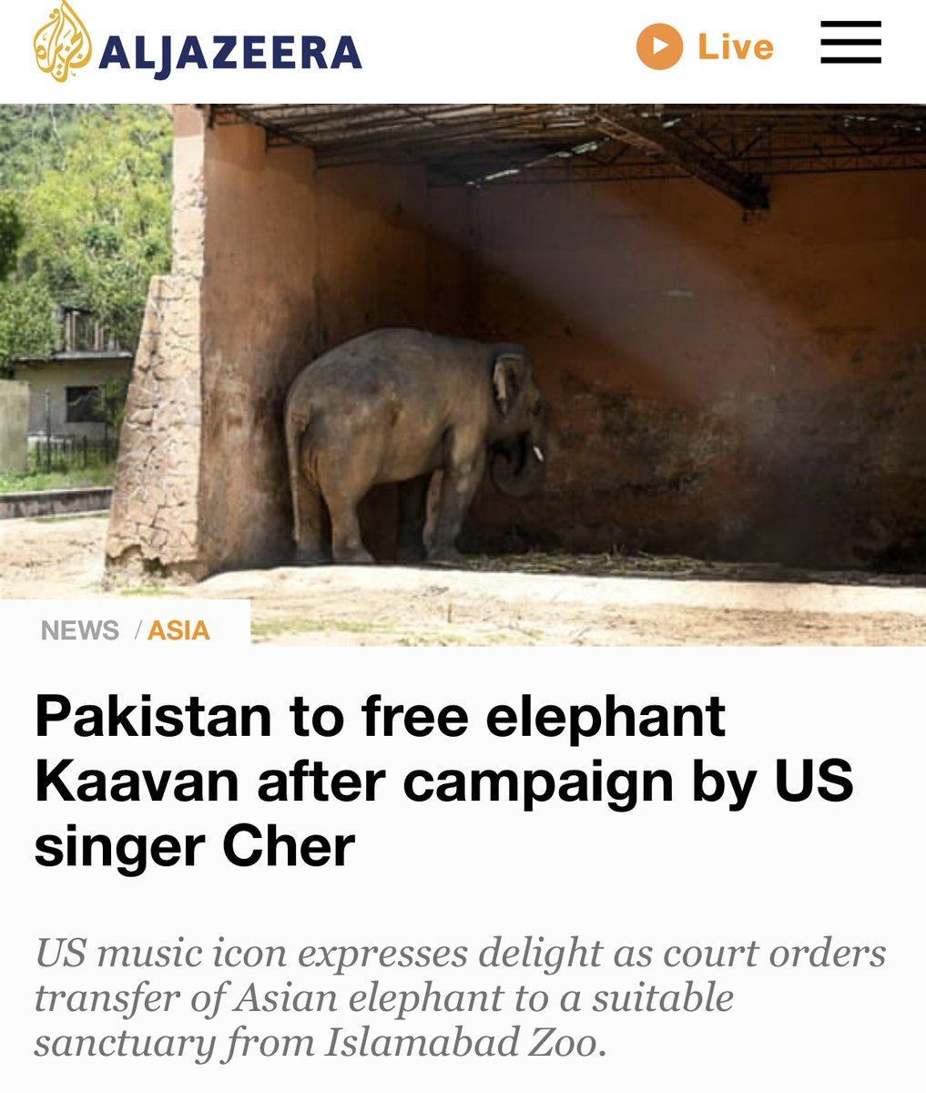 cher's tweet photo. @james86621212 It’s strange... It’s Hard For Me To See 🐘🐘,Theres So Much To Be
Done. Maybe Im Just Having a Really Bad Day. https://t.co/quuoGMjHjo