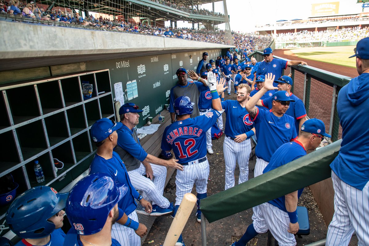 Cubs's tweet image. Dugout daydreams. 😊

More #Cubs virtual backgrounds: atmlb.com/2VK8y0P

@Wintrust
