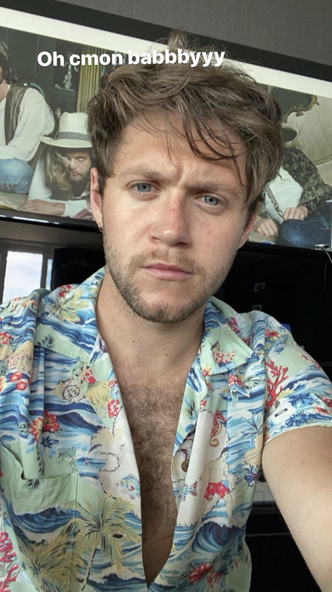 Nialler-MY BABY -he's so beautiful-his instagram lives>-is such a sweetheart with fans and always checks up on us and gives us content -the loml I can't even explain it in words-purple pantsVoice:-such a unique voice-my favorite voice ever-so soothing and perfect-Btw