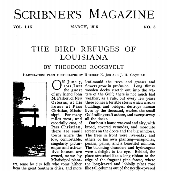 Roosevelt wrote a long article about his trip in Scribner's. He compared Louisiana's barrier island's to Europe's greatest works of art.