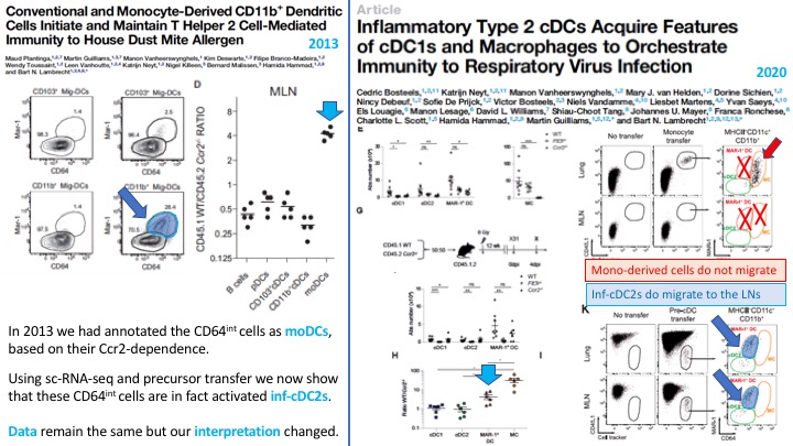 2/4 Now using single-cell sequencing and pre-cDC transfers we show that cDC2s can acquire a CD64-int profile and acquire many monocyte-associated genes. These are NOT moDCs, although they are indeed CCR2-dependent. Read full story here:  https://www.cell.com/immunity/fulltext/S1074-7613(20)30163-1