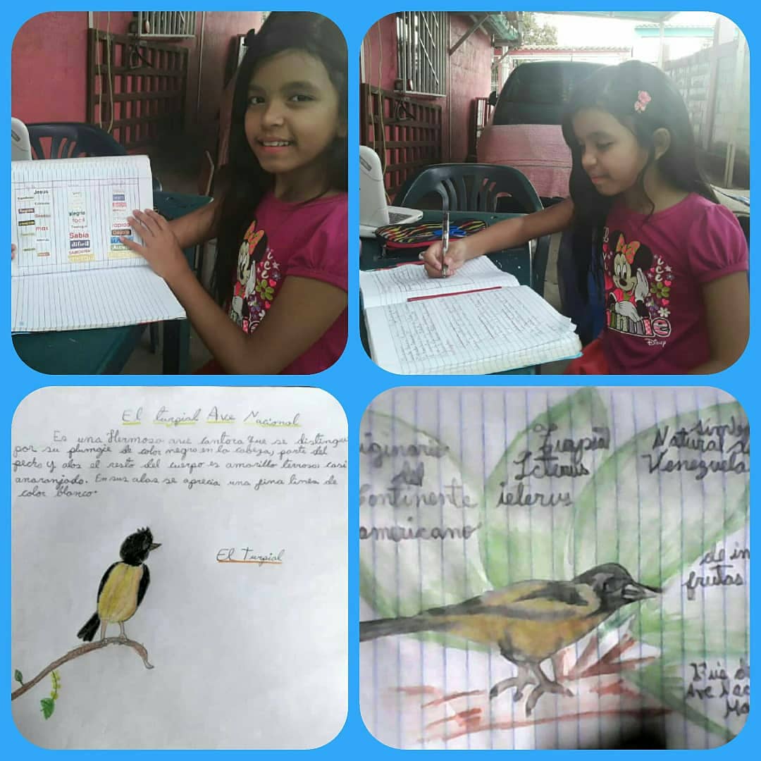 ebproin70's tweet photo. Trabajos de los estudiantes @GuaricoZonaEduc 
@EducativoN @maduro_en @SusanaSayegh 
@adrizg88 
@josemvasquez 
@GestionZeg https://t.co/Eg8kTAfD3S