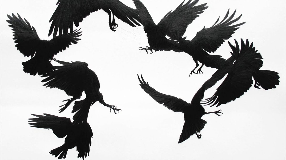 Стая воронов. Стая ворон в согласование. Стая ворон в согласование. Птицы. Стая ворон.