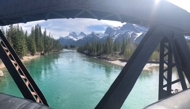 PYIB's tweet photo. Such a beautiful view from our Spring Has Sprung category winner Cheresse from Northgate Insurance. Congratulations!! #PYIB @IBAA1 https://t.co/u4REHfu7Iz