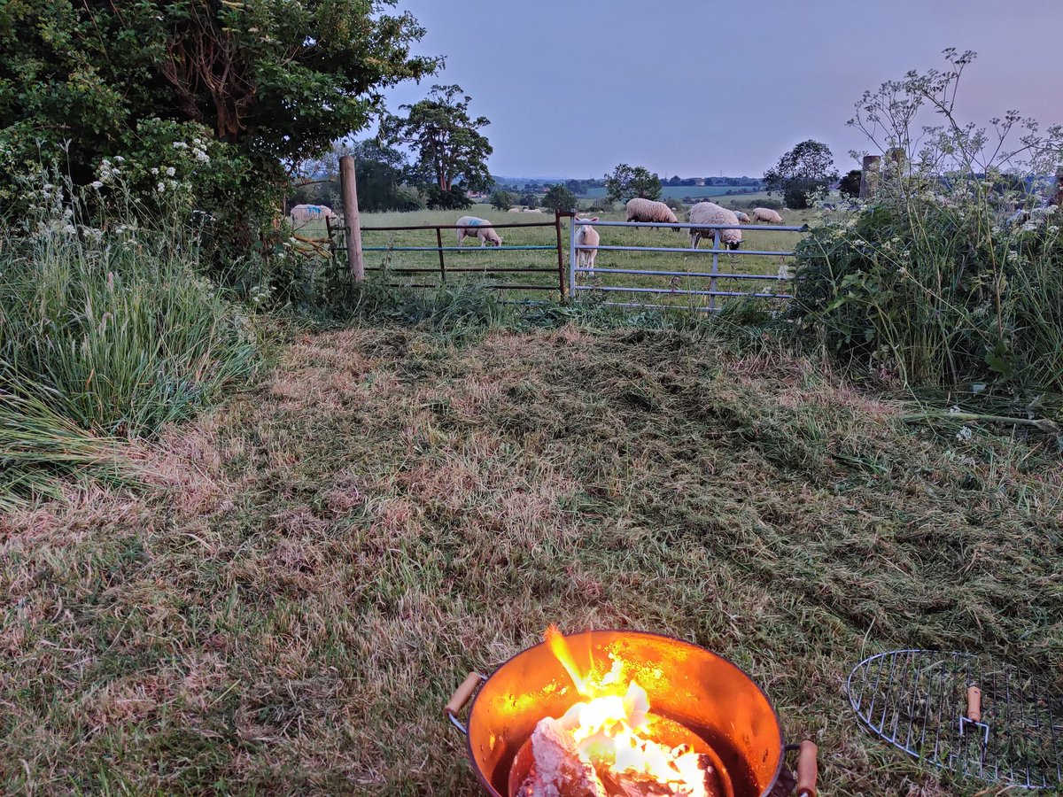 Enjoying the view this evening.