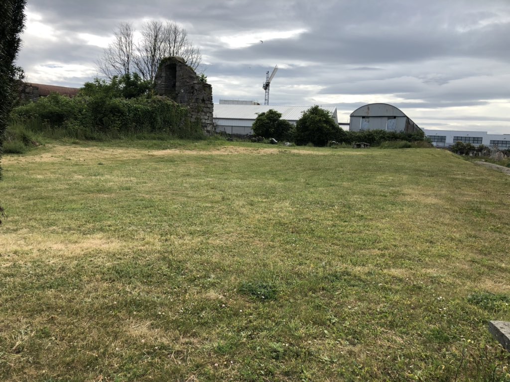 Come on Dublin City Council...you can do better than this. Bluebell Cemetery in Dublin. Wildflower Meadow poster but meadow cut to within an inch of its life...
