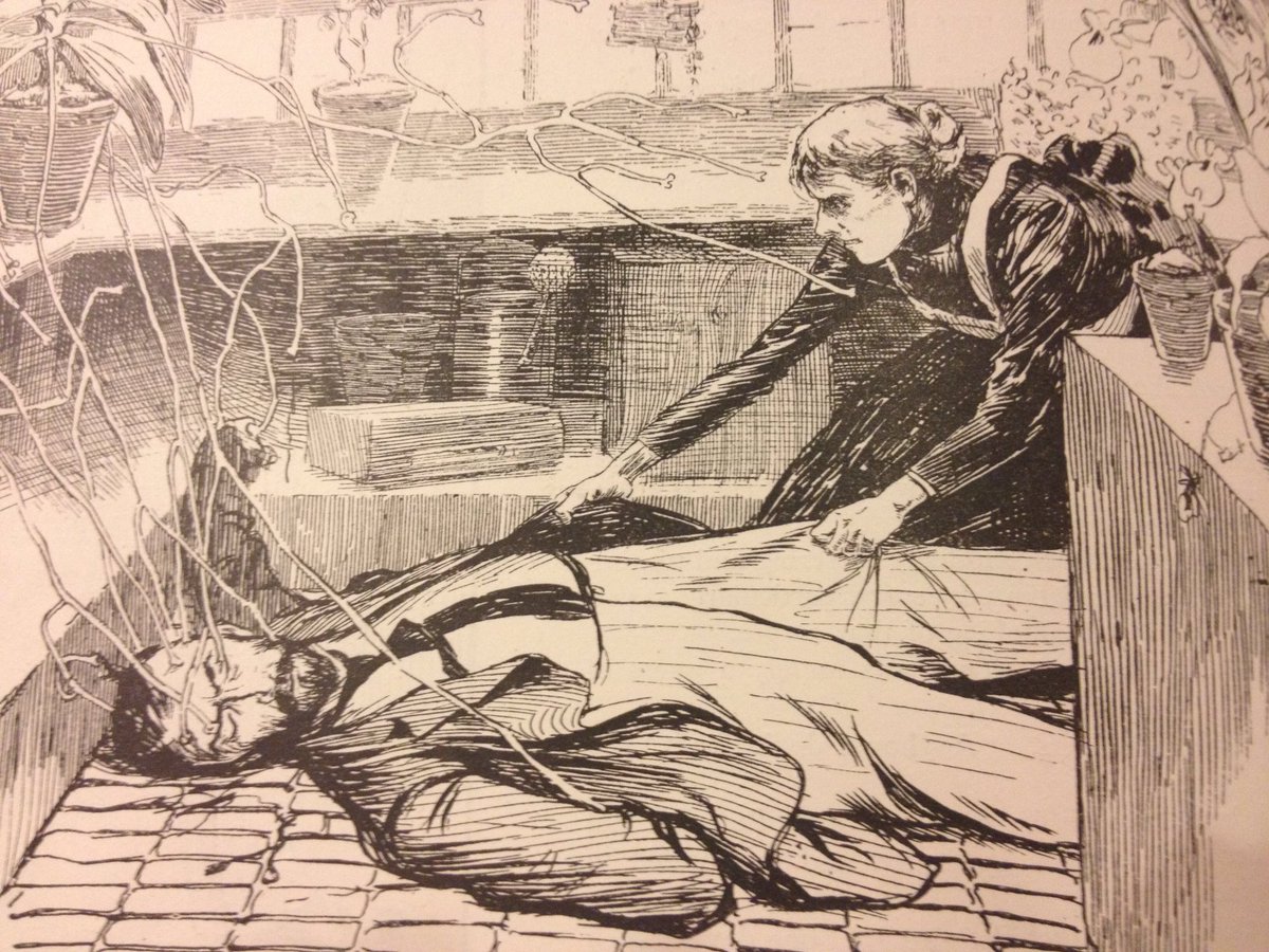 MattWestbrook's tweet photo. Join the Silent Orchid Summer School https://t.co/U6fBwcZLcW to hear from Victoria Mills, Co-Director of the Centre for 19th Century Studies at Birkbeck, Uni of London who will discuss the relationship between orchid collecting &amp; models of masculinity in the late 19th century. https://t.co/8xMaM3E7Cx