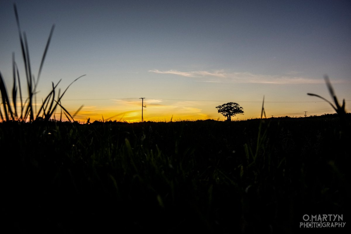 O_Mart_Photo's tweet image. Drum &amp;amp; Bass before bed normally isn't advised but since its increasing working speed, then its 
@netskymusic until midnight 👌 #quarantine #sunset #ongomode #productivity