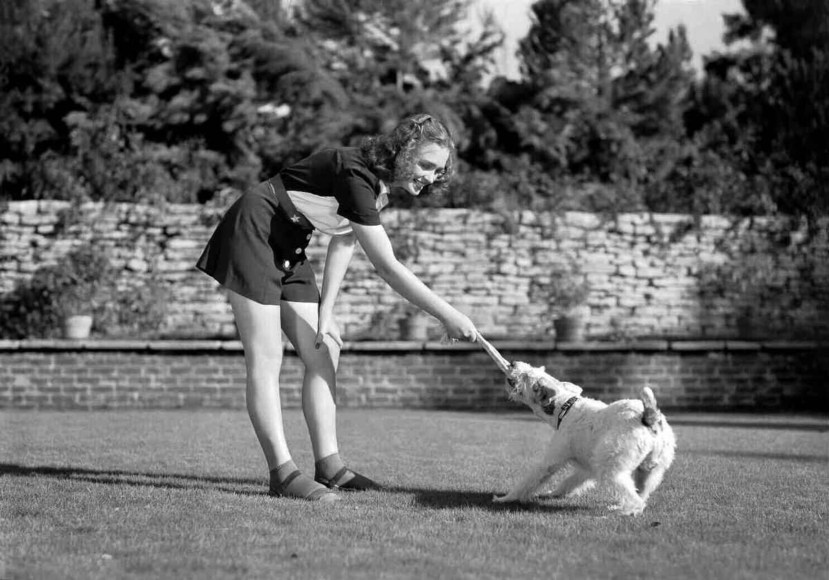 Notice: This seemingly endless thread is just an excuse to display way too many photos of the lovely Donna Reed and handsome Asta in a “Shadow of The Thin Man” publicity photo shoot. If you’re good with that, please continue...