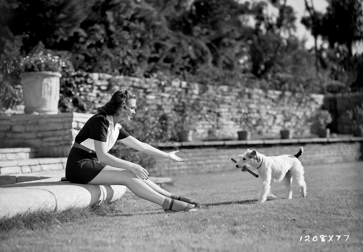 Skippy, born around 1931, retired shortly after filming “Shadow of the Thin Man” in the fall of 1941. Asta, alas, would have to be played by another trained terrier — true identity shrouded in mystery — in the final two installments of the “Thin Man” series in 1945 and 1947.