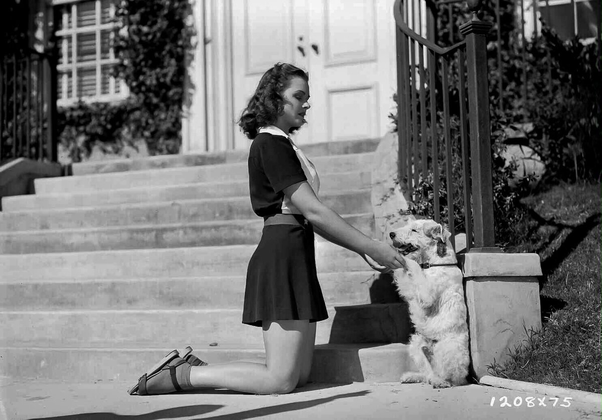 Skippy, born around 1931, retired shortly after filming “Shadow of the Thin Man” in the fall of 1941. Asta, alas, would have to be played by another trained terrier — true identity shrouded in mystery — in the final two installments of the “Thin Man” series in 1945 and 1947.