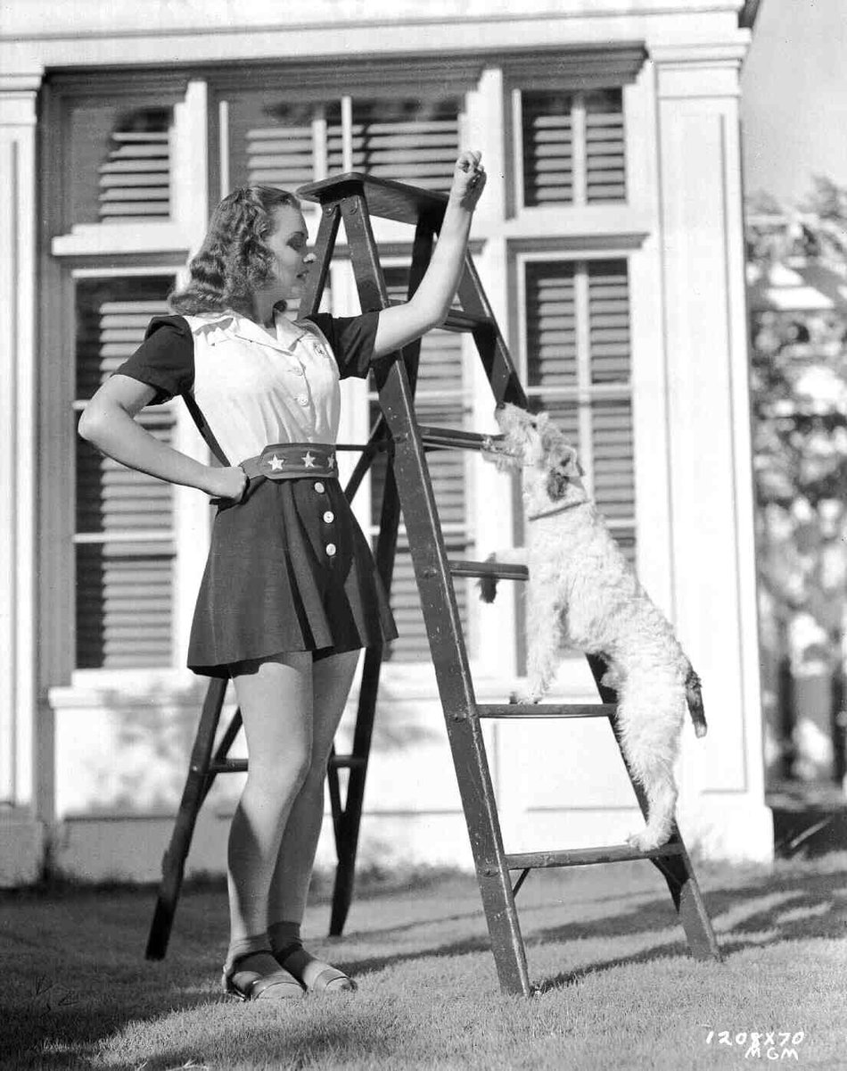 Skippy, born around 1931, retired shortly after filming “Shadow of the Thin Man” in the fall of 1941. Asta, alas, would have to be played by another trained terrier — true identity shrouded in mystery — in the final two installments of the “Thin Man” series in 1945 and 1947.