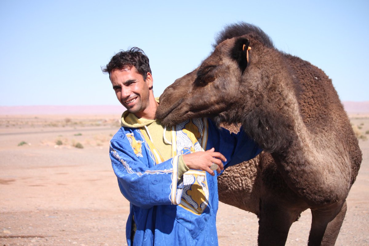 RealMoroccoAdv1's tweet photo. Sahara Desert with Real morocco adventures
.
@RealMoroccoAdv1
.
For More information in :
🌍https://t.co/tHAmrao2gz
📩realmoroccoadventures@gmail.com
.
#realmoroccoadventures #cutecamel #vacation #trips #travel #sunset #SaharaDesert #photography #lonelyplanet #Merzouga https://t.co/MG5MsAtMqz