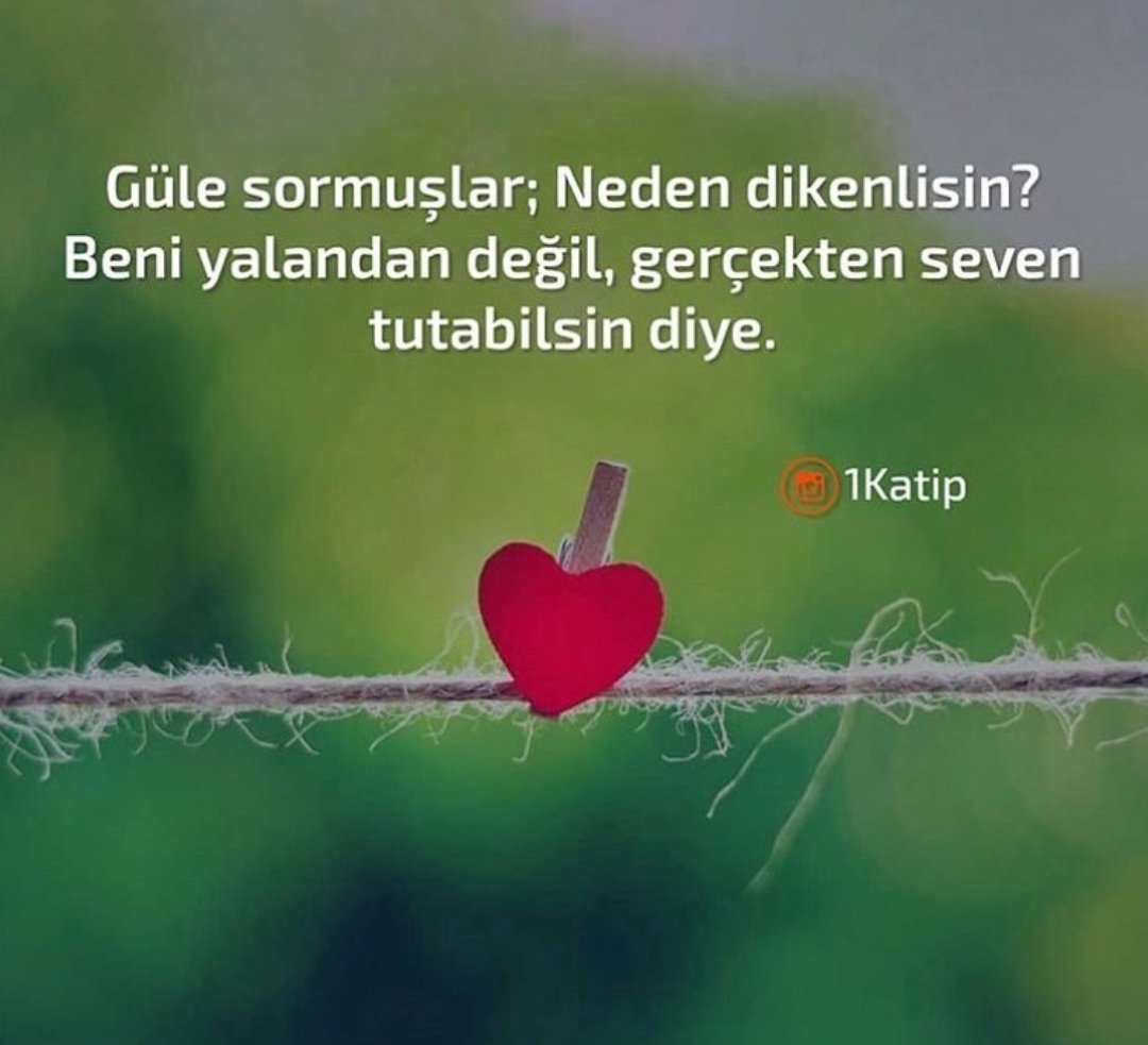 Chiroyli, ajoyib dumba surati