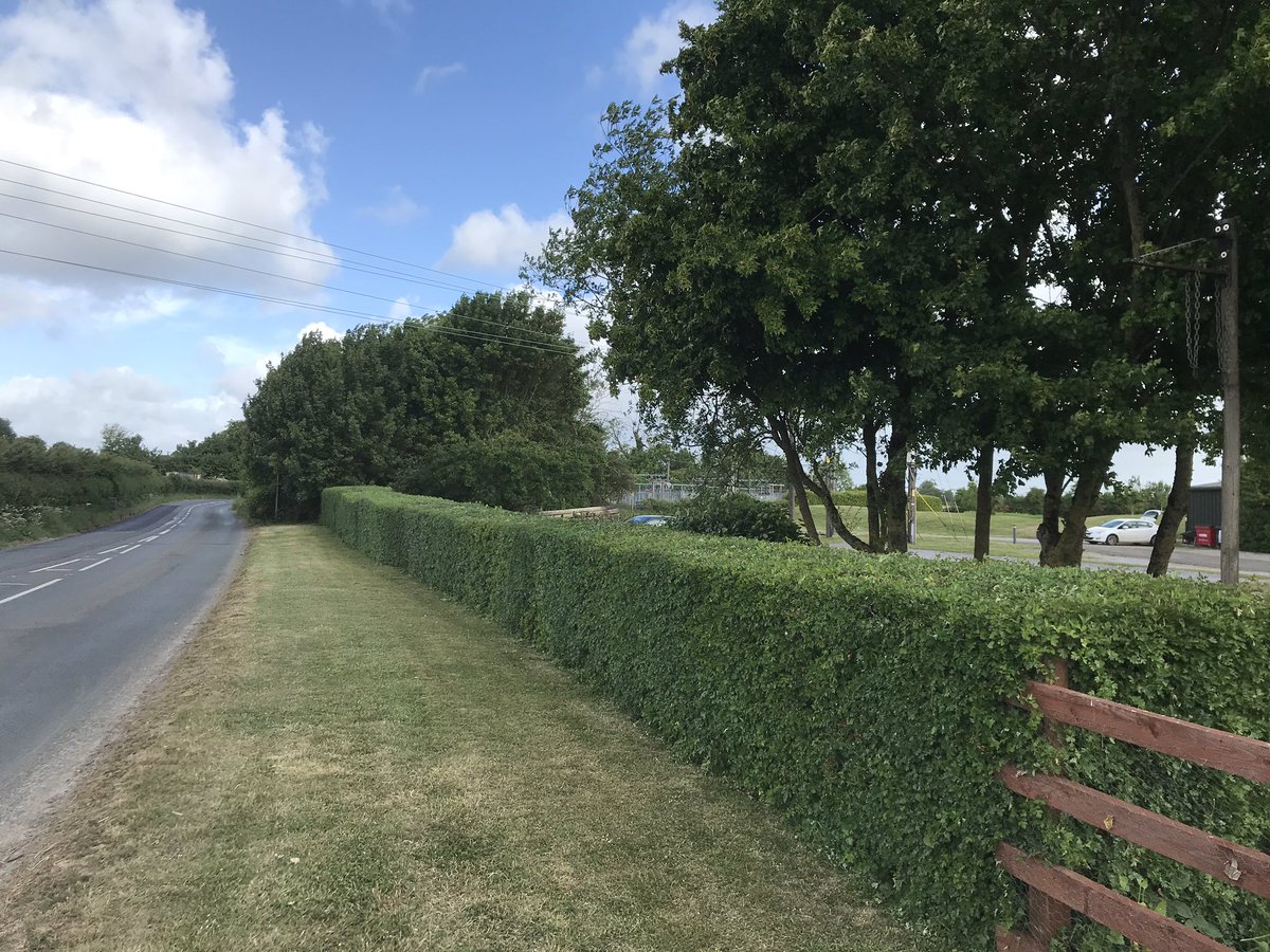 salixliliumhort's tweet image. Before &amp;amp; after; very overdue hedge pruning! #garden #hedgepruning #Horticulture #Wiltshire