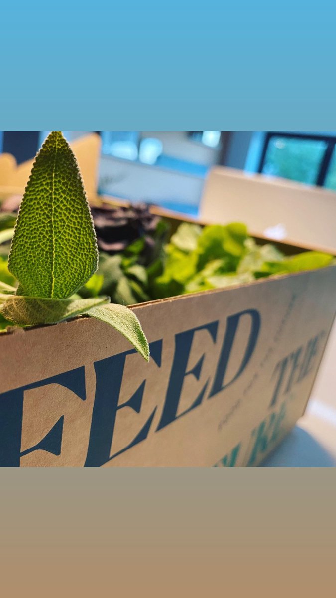 The Loft tweet media