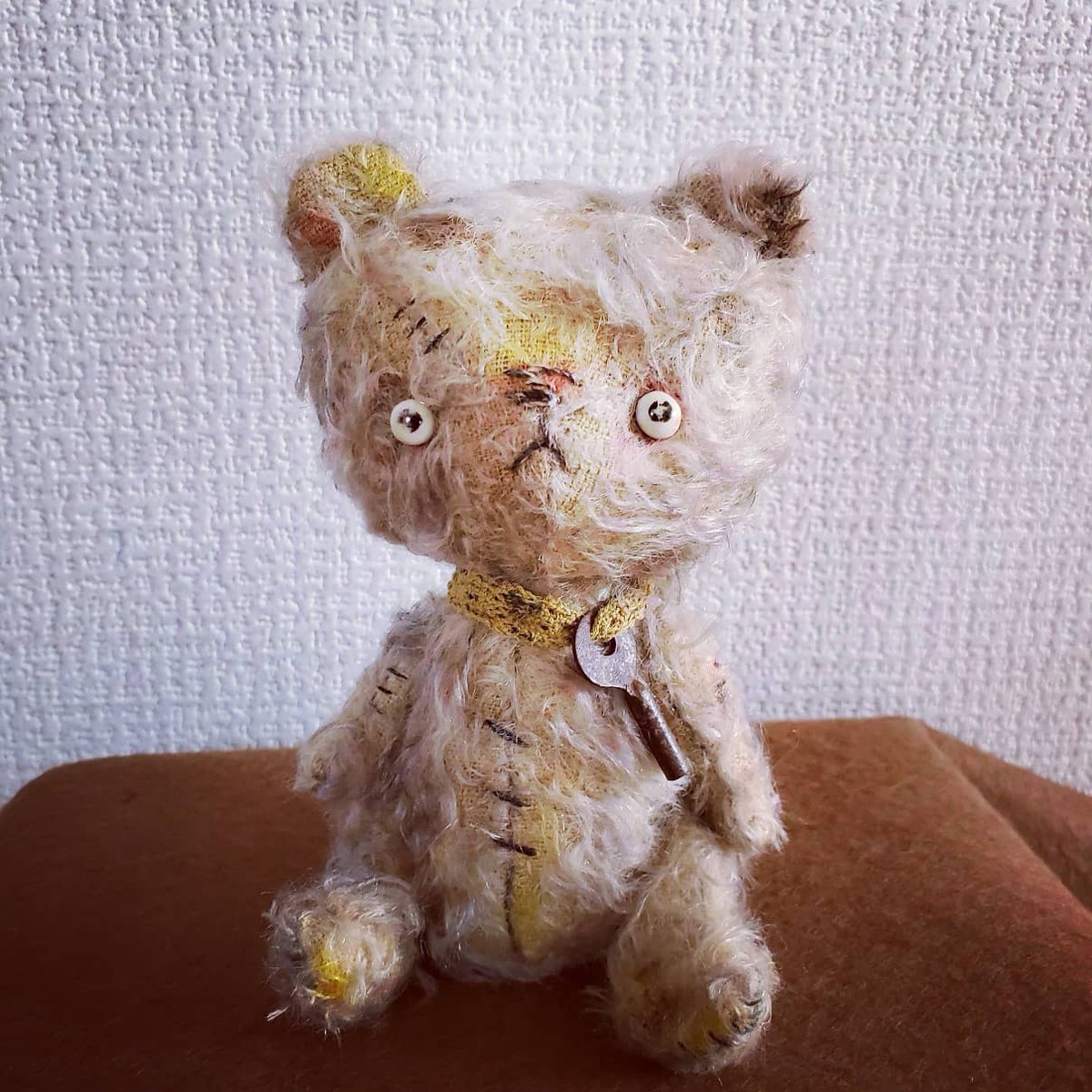 ☆ボロベア「やあ、僕ボロちゃん。ズタズタのボロボロなんだ。お家は 