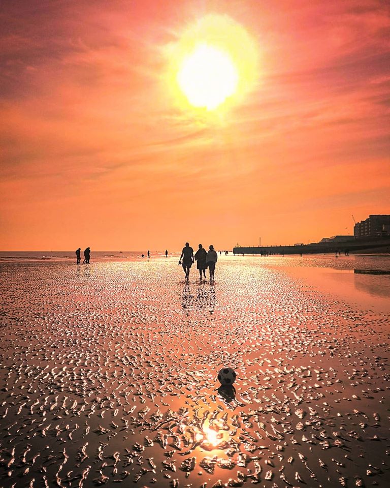brightonargus tweet picture