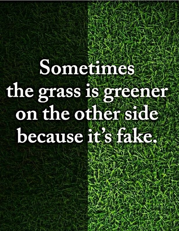LifeAndRiches's tweet photo. Focus on yourself and water your grass. https://t.co/HyFOmGn8Ll