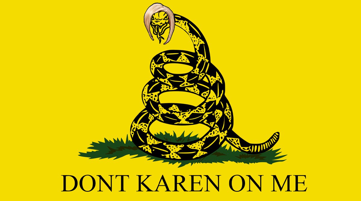 CalebHowe's tweet photo. The flag 2020 needed? Or just the one it deserves? #Karen https://t.co/rlu94AhVWk