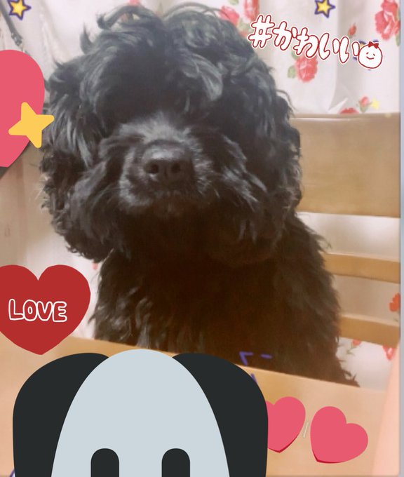 Twitterのコスプレ画像31