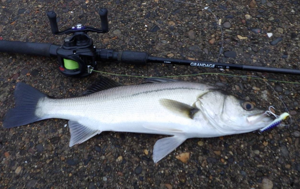 グランデージ ライト C76 アピアグランデージライトC76ベイトロッド