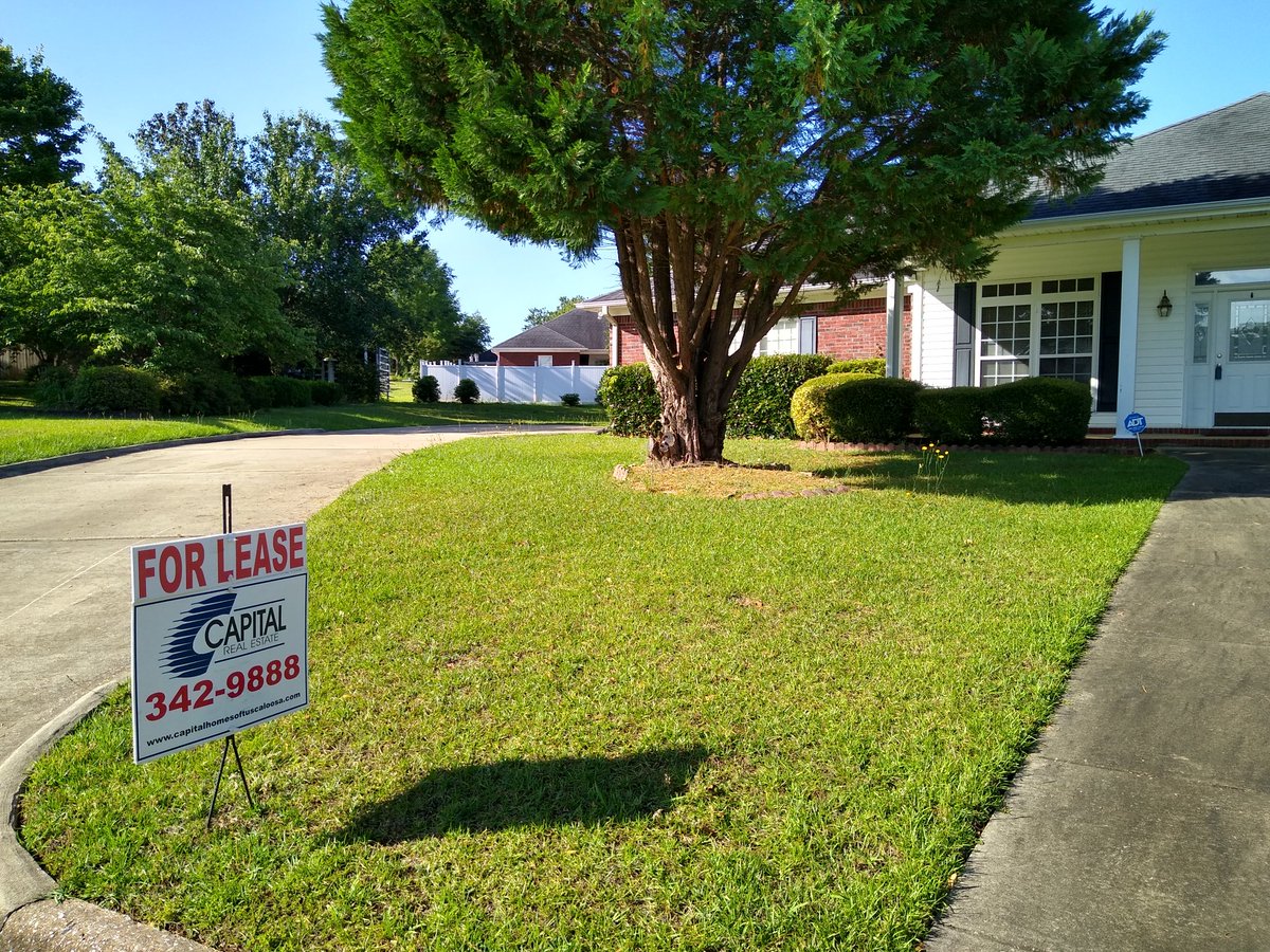 klean_it's tweet image. 