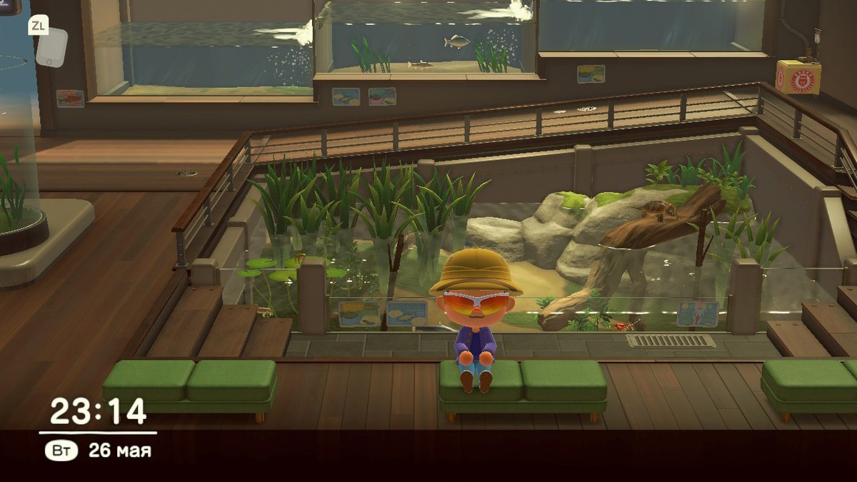 #AnimalCrossing #ACNH #NintendoSwitch