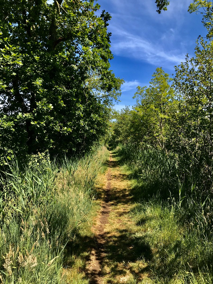santiedlopez's tweet photo. Este es un hilo diferente.
-
La semana pasada estuve bicileteando bastante y además de acumular kilómetros recorridos se me ocurrió sacar fotos de los lugares por donde pasaba y compartirlas de a 4 por tuit
Con ustedes, la primera entrega de #SantiEnBici https://t.co/MHxShrxX6R