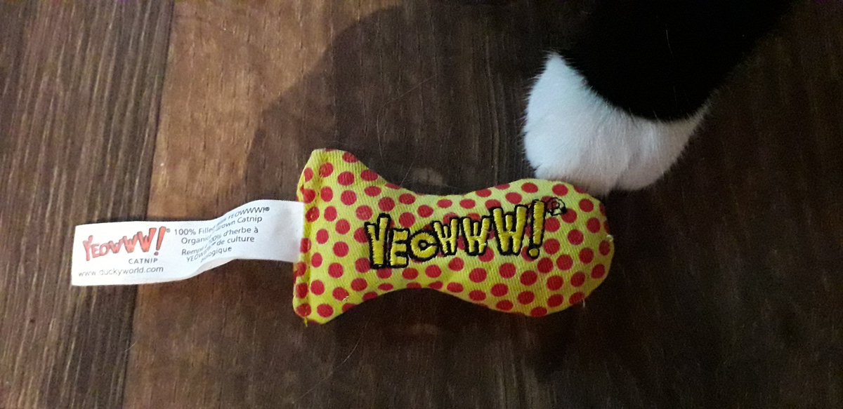 _JustSoph_'s tweet image. Rupert loves his new toy 🐈❤ @YeowwwCatnip #CatsOfTwitter #Catnip #CrazyCat #blackandwhite