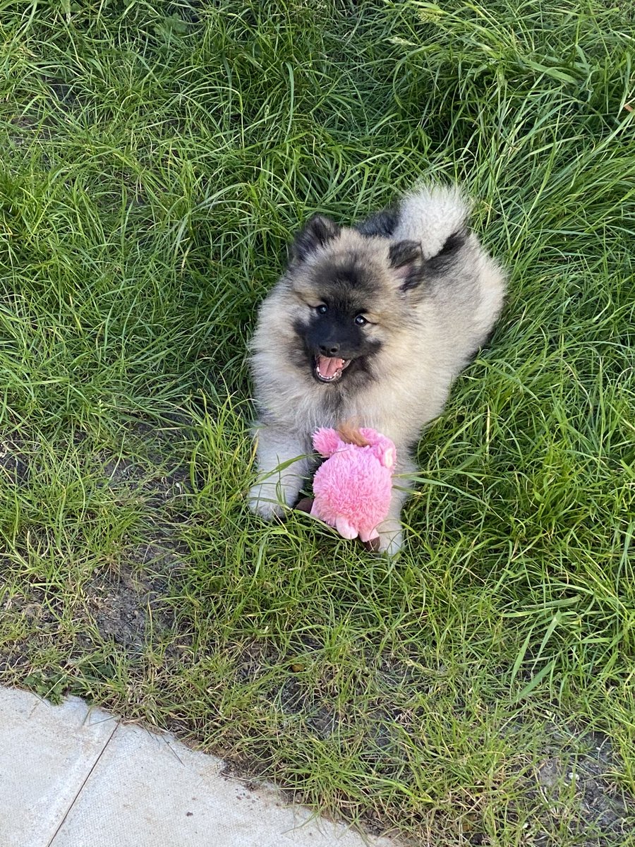 SamMacwilliam's tweet image. #VeryMeRewards @VodafoneUK