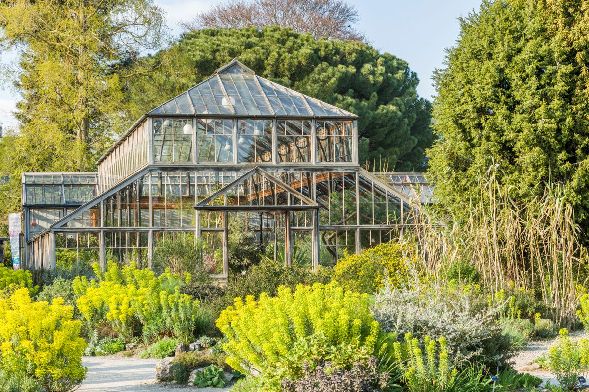 Welcome to Day 2 of the Festival of Plants! 

Today’s focus is horticulture. We’re delighted to bring you tours of the Garden &amp; Glasshouse Range, talks from trainees, kid's windowsill gardening &amp; the opportunity to ask our expert panel for gardening tips.

botanic.cam.ac.uk/festival-of-pl…