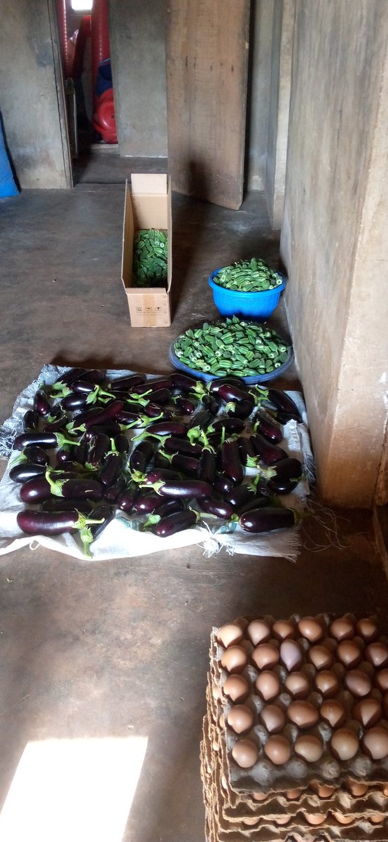 IamFMCASH's tweet photo. Rich farmer <> Poor farmer, choose your path wisely
Pizza Toni kan Minneapolis Obaseki lied murder Ahmed #samLocoday Amy Cooper willie #arewatotheworld Valverde #BlackLivesmatter #icantbreathe omotola So Cynthia Morgan Governor Wike https://t.co/zAgRAmpXqY