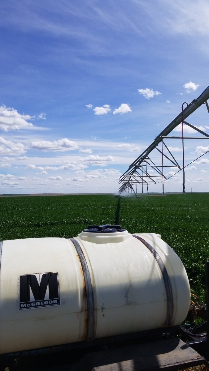 BDBaumann's tweet photo. Salvaging yield potential by applying #Nexicor at flag leaf. Thanks for the advice @TMC_Cat and the @themcgregorco team!
#flagtofinish #ResilienceCL+ ##PNW https://t.co/g7j1V6yQeZ