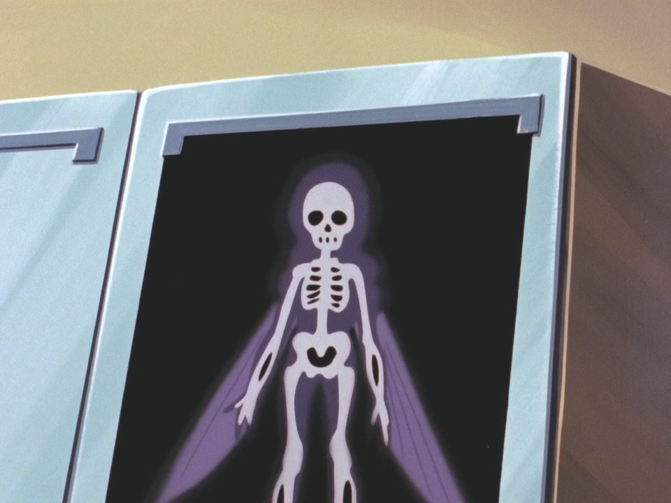 They put Cham in a box and took pictures of her tiny skeleton.